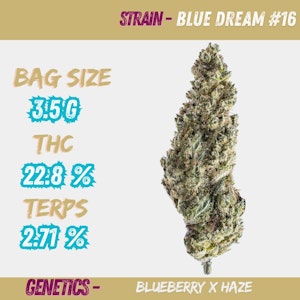 Pure Sunfarms - Blue Dream #16 3.5g Dried Flower