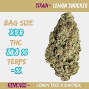 Lemon Shocker 3.5g Dried Flower (Lemon Tree X Shocker)