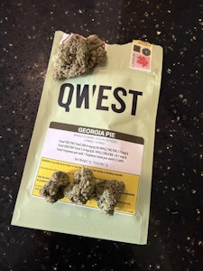 QWEST - QWEST- GEORGIA PIE FLOWER - 7G