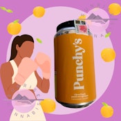CITRUS PUNCH - PUNCHYS