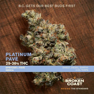 Broken Coast - Platinum Pave 7g Dried Flower