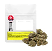 Jealousy x Biscotti  7g Dried Flower