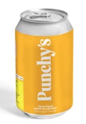 CITRUS PUNCH - 355ml