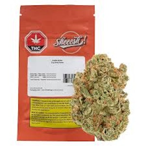 Sheeesh! - Double Bubbs