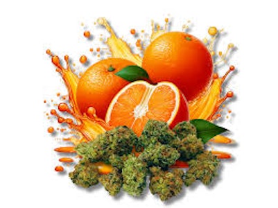 Dab Bods - Twisted Citrus Botanical Buds