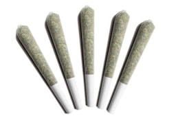 ARCTIC SUN - 5 x 0.5g