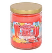 Smoke Odor Candle 13oz | Caribbean Punch-each