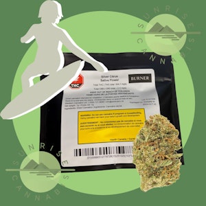 Herbal Dispatch - SILVER CITRUS - BURNER - 7G