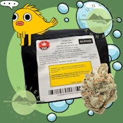 TANGIE OG - BURNER - 7G