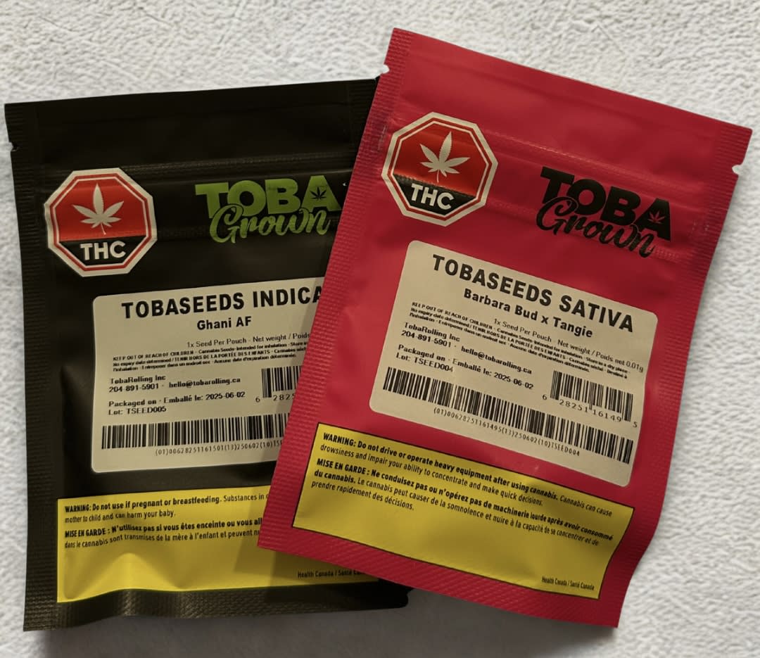 TobaGrown Ghani AF Indica Seed X1