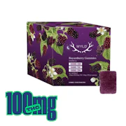 Boysenberry 2:1:1 CBD:THC:CBN Real Fruit Gummies | 10-Pack | Wyld