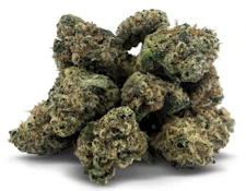 Sleeping Tiger Smalls - 3.5g