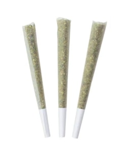 Choklit Park - CHOKLIT PARK | BLUEBERRY YUM YUM 3 x 1g PRE-ROLLS - 3