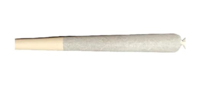 Seventails - SEVENS AMBASSADOR PRE-ROLL - 1