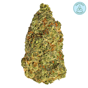 South Point - Turbo Diesel 3.5g