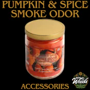13oz Pumpkin & Spice (Smoke Odor)