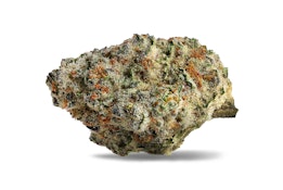 Strawberry Amnesia 14g