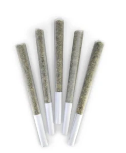 DEALR - BREAKFAST OF CHAMPIONS PR | 5 x .5g