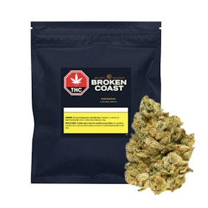 Broken Coast - EmergenZ