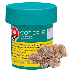 Coterie - Pink Rose #4