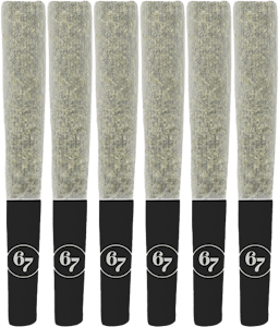Sixty Seven Sins - Sixty Seven Sins - Fire Pack Pre-Rolls 6x0.5g | 3g