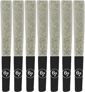 Sixty Seven Sins - Sixty Seven Sins - Fishy Fingers Pre-Rolls 7x0.5g | 3.5g