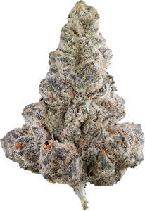 Sixty Seven Sins - Sixty Seven Sins - Gary Satan | 3.5g