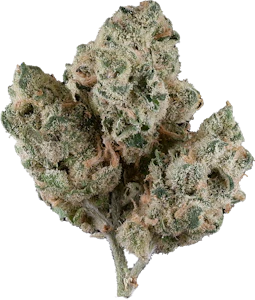 Sixty Seven Sins - Sixty Seven Sins - Scented Marker | 3.5g