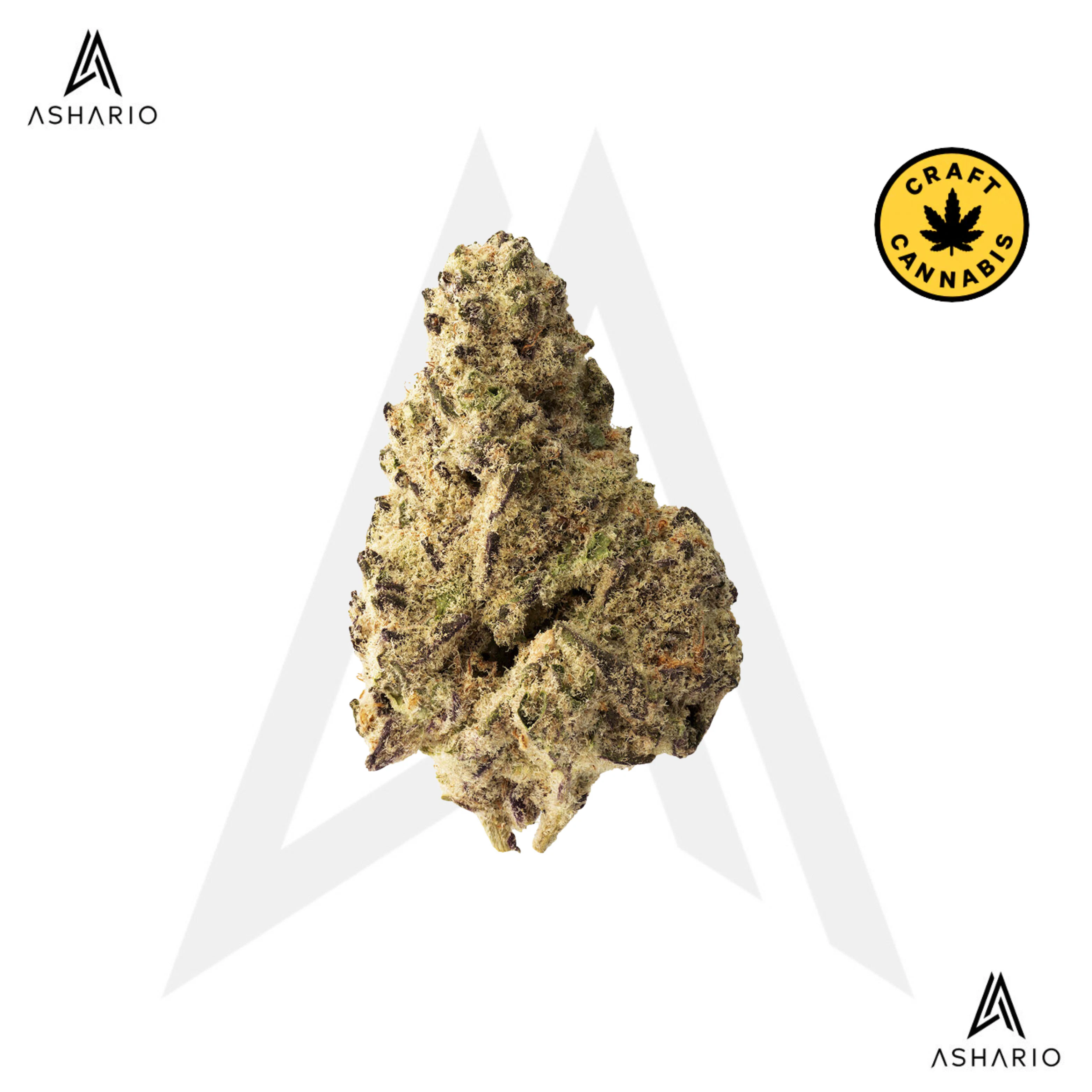 THE LOUD PLUG - Platinum Punch | 28g Main Image