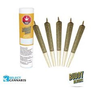 Buddy Blooms - Big Buddy Sativa 5 x 1g Pre-Rolls