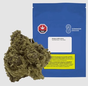 Common Ground - Blueberry Cupcake - Purple Panty Dropper X Razzle Berry 14g