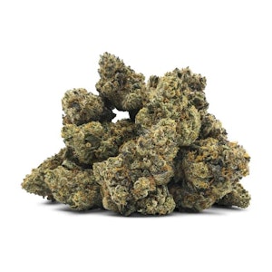 DEALR - BEES KNEES - 14