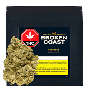 Broken Coast - EmergenZ