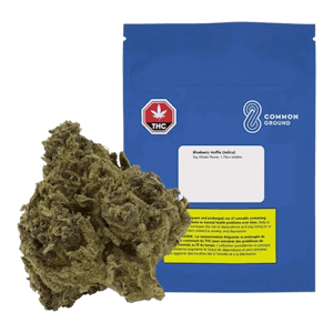 Common Ground - Common Ground Blueberry Cupcake 14g Dried Flower