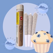 BLUEBERRY YUM YUM - CHOKLIT PARK - 3X1G