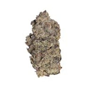 Pistol And Paris - GAS BASKET LTO