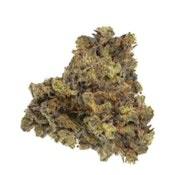 BLUE DRAGON LTO - 14g