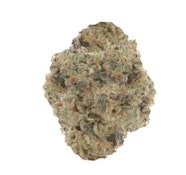 AGENT ORANGE LTO - 14 g