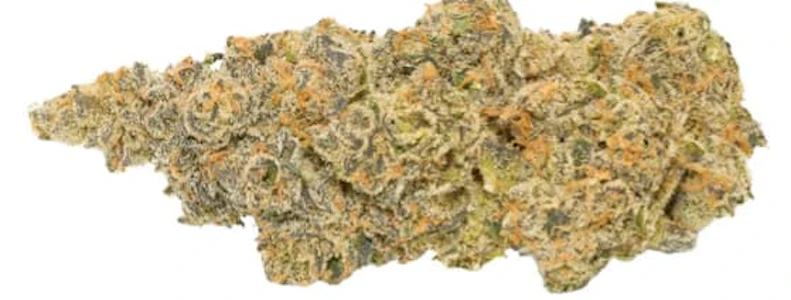 Broken Coast - BC SELECTS: PINEAPPLE MARKER 143 - 3.5g