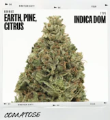 1964 - Comatose 3.5g