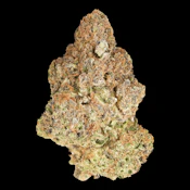 1964 - M'mosa (Purple Punch x Clementine) 28g