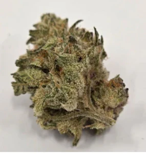 La Cantina - ORGANIC (LSO) GODFATHER OG - 28g