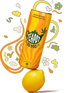 Teapot - Teapot - Rosin Infused Lemon Black Tea 355ml