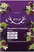 Wyld - Real Fruit Boysenberry 2:1:1 CBD:THC:CBN 2 Pack Soft Chews