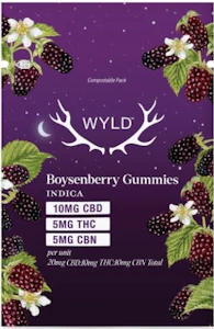 Wyld - Wyld - Real Fruit Boysenberry 2:1:1 CBD:THC:CBN 2 Pack Soft Chews