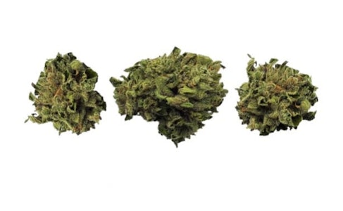 Weathered Islands Craft Cannabis - COASTAL FOG LTO | Weathered Island Craft Cannabis 14g flower | Elevate