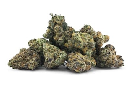 BC Smalls - BC SMALLS | ZELECTROLYTES SMALLS - 3.5