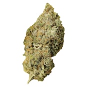 Palmetto - Sampler - 1g