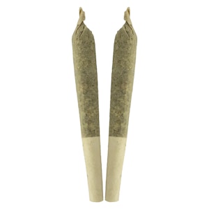 Sheeesh! - Key Lime Pie Pre-Roll 2x1g