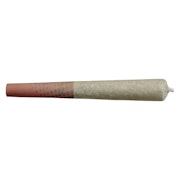 Blueberry Dream Pre-Roll 10x0.5g Pre-Rolls